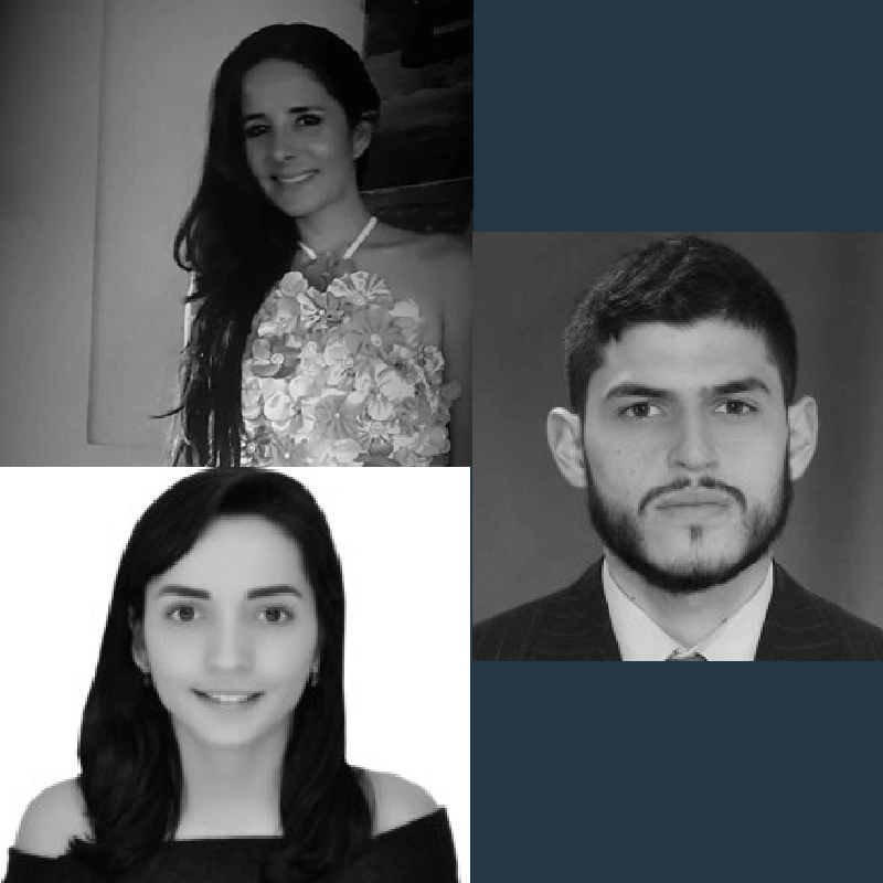 <strong>Adriana Flórez, Paola Andrea Loaiza Trejos, Francisco José Ocampo Giraldo</strong>