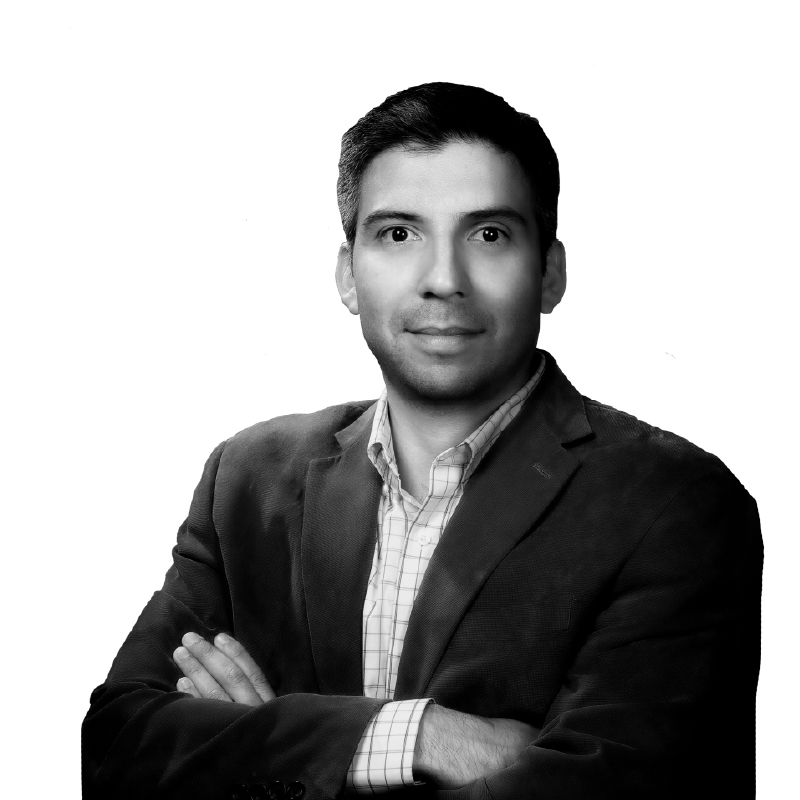<strong>Raymundo Miguel Campos Vazquez</strong>